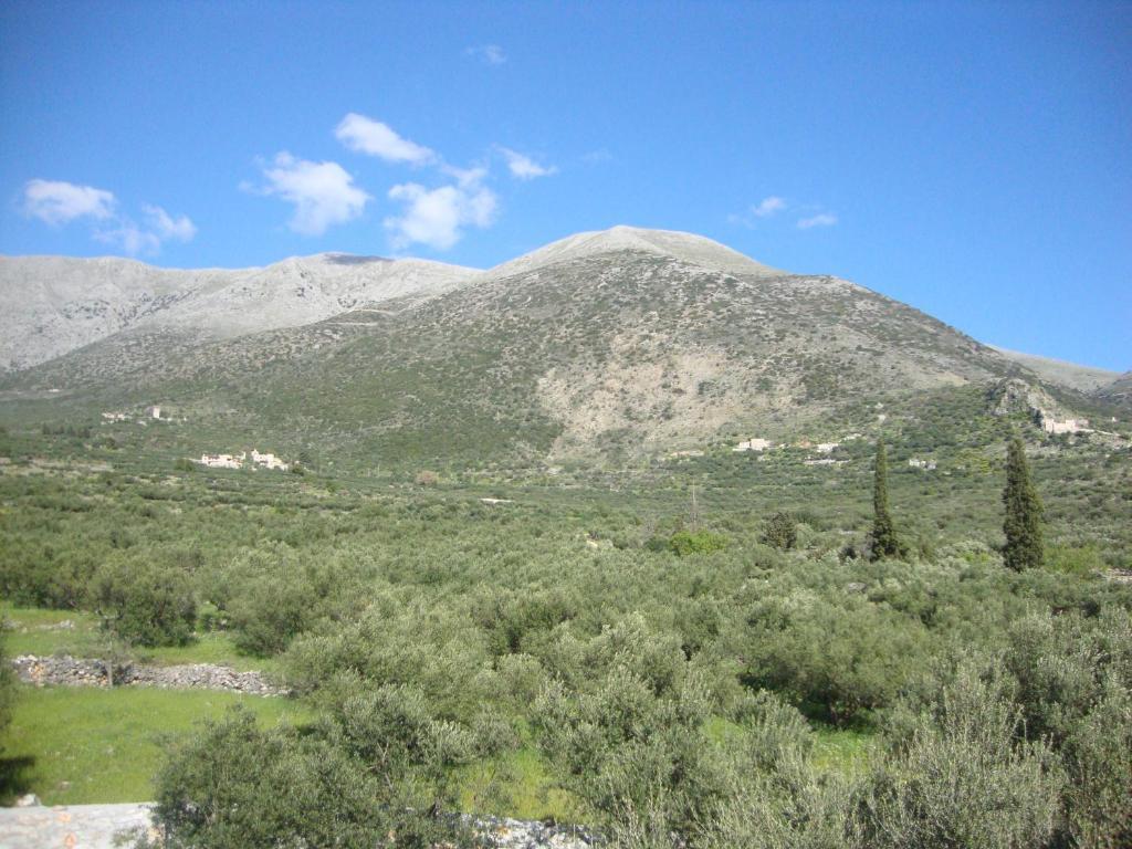 Kafiona Guesthouse Pírgos Dhiroú Extérieur photo